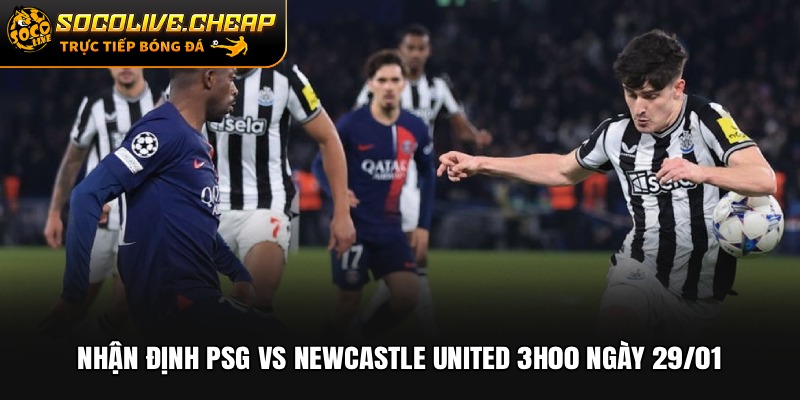 Nhận Định PSG vs Newcastle United 03h00 Ngày 29/01