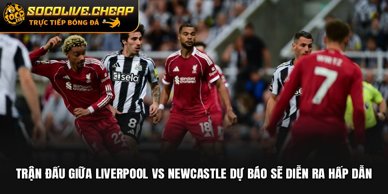 Trận đấu giữa Liverpool vs Newcastle dự báo sẽ diễn ra hấp dẫn