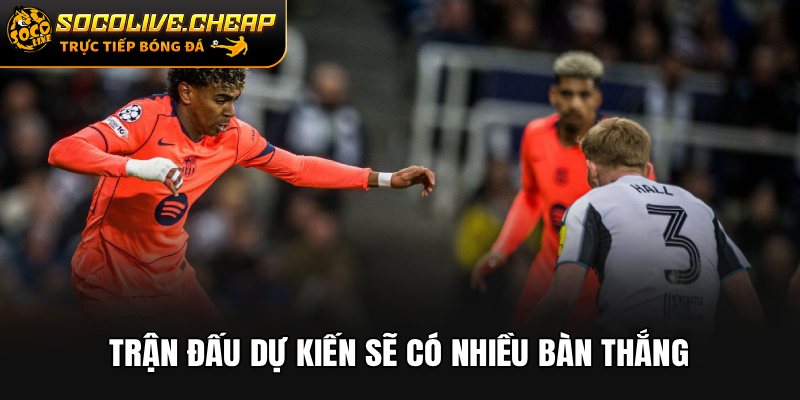 Trận đấu giữa Barcelona vs Newcastle dự kiến sẽ có nhiều bàn thắng